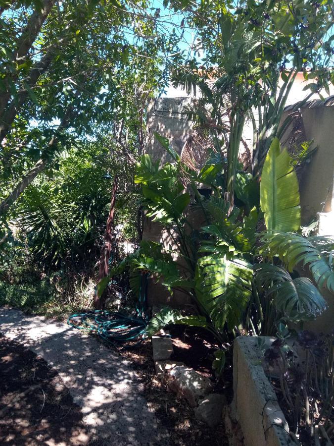 Arthouse Campos Mit Haus Galeria 110Qm Und Appartementhaus Mit Patio 30Qm Экстерьер фото